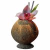 Organic 500ml Coconut Oil with Base - Pure and Natural Beauty Essential for Skin and Hair Care