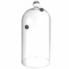 13cm diameter glass dome with valve, stylish and versatile home decor accessory for a touch of elegance.