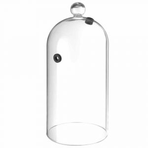 13cm diameter glass dome with valve, stylish and versatile home decor accessory for a touch of elegance.