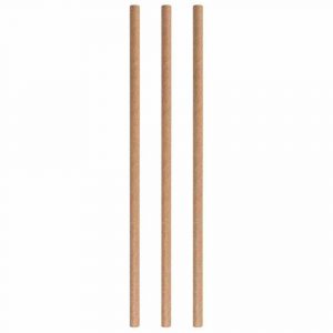 Environmentally friendly Pack of 250 Beige Paper Straws, 8mm diameter x 200mm length, perfect for eco-conscious parties and events.
