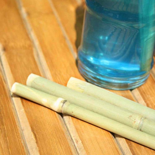 Reusable eco-friendly bamboo straw for sustainable sipping, perfect for drinks on-the-go.